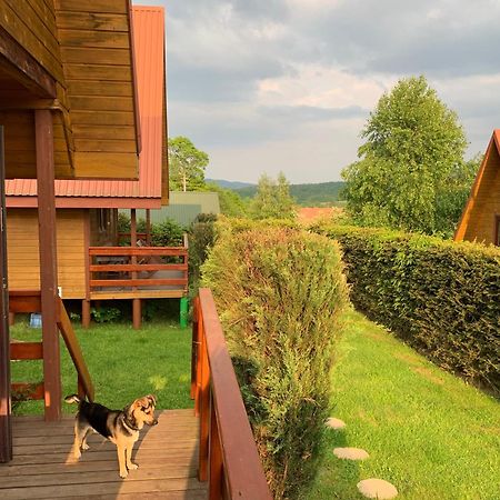 Domki Nad Solina Czarny Kot 509-797-777 Esterno foto