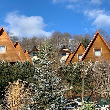 Domki Nad Solina Czarny Kot 509-797-777 Esterno foto