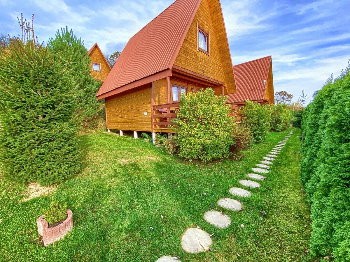 Domki Nad Solina Czarny Kot 509-797-777 Esterno foto
