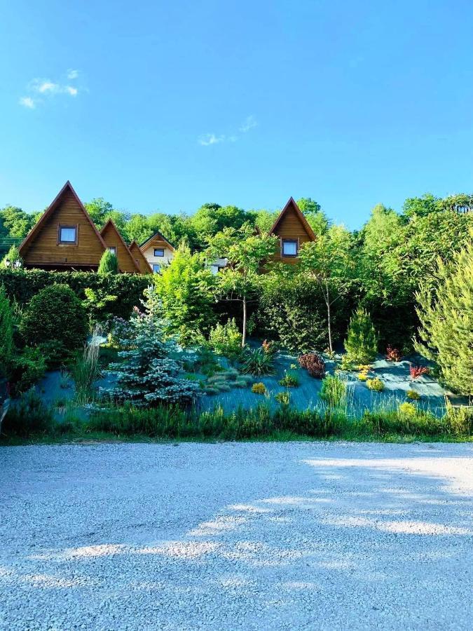 Domki Nad Solina Czarny Kot 509-797-777 Esterno foto
