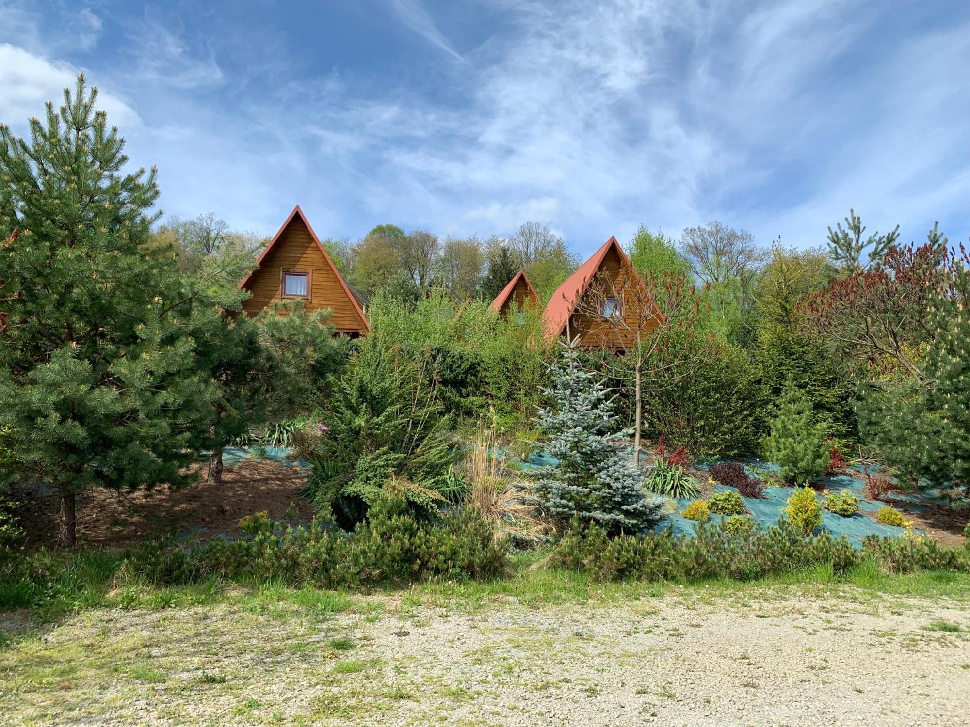 Domki Nad Solina Czarny Kot 509-797-777 Esterno foto